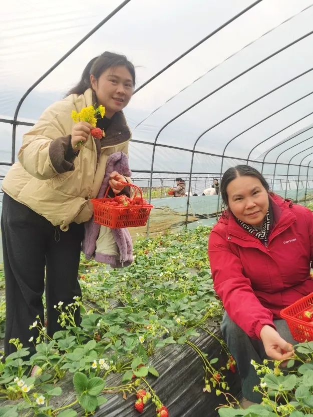 1741567846431880.jpg 1741567846431880.jpg